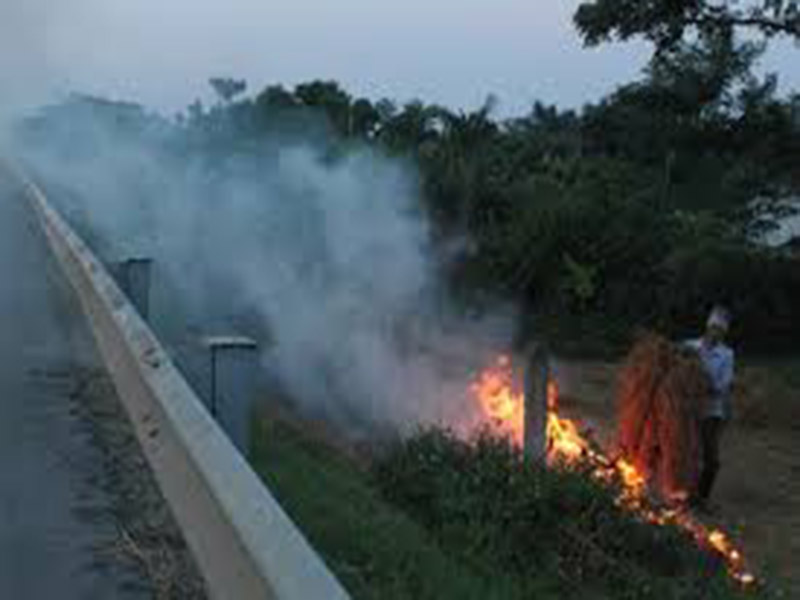 M&ugrave;a gặt với người trong phố